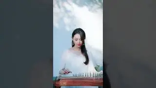 Chinese Zithe-偏偏喜欢你古筝