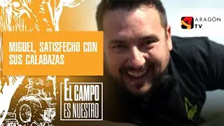 Dionís, positivo con el concurso de calabazas