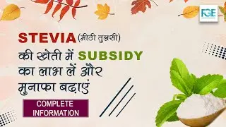 Details of stevia farming and subsidy benefits from NHB | CA NITESH GUPTA