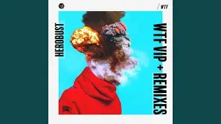 WTF (Kai Wachi Remix)