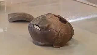 Исторически музей - Кърджали/ The Historical Museum in Kardzhali