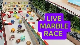 LIVE MARBLE RACING. MARBLE RACE. MARBLE RUN. MARBLES. billes. Dan zhu.