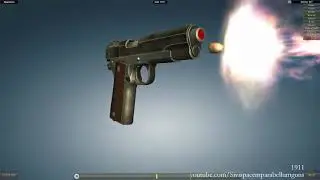 Colt 1911 the function weapon