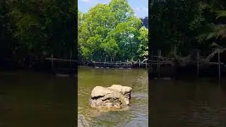 Rammang-Rammang Maros Makassar INDONESIA