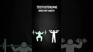 Boost Your Testosterone: Healthy Habits to Follow