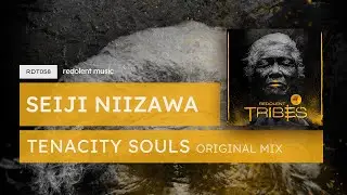 Seiji Niizawa - Tenacity Souls (Original Mix) - Redolent Music