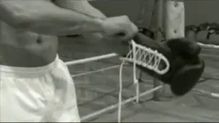 Arthur Abraham Knockouts - Boxing Highlights