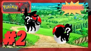 ¡¡SUPER CAPTURAS PARA EL EQUIPO!! Pokémon Y RandomLocke #2