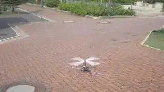 Erstflug 4-Blatt-Rotorkopf f&uuml;r meine Hughes 500 in 450 Gr&ouml;&szlig;e