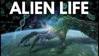This Changes Everything We Knew About Alien Life | Science for Sleep