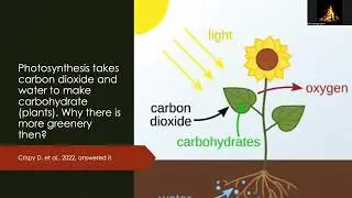 Climate change: Causes and Solutions -  Elif Islam