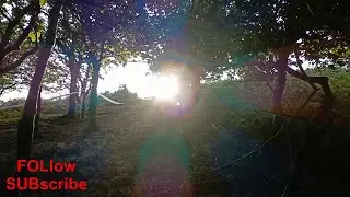 05, daytime setting, tarps, scenic view, #2025 , @ashoffgrid , #woods , #hammock , #hike , #camping