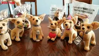 Taco Bell talking Chihuahuas collection! Yo quiero Taco Bell!
