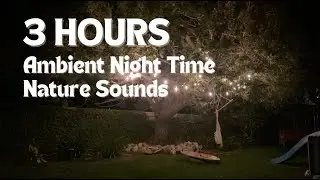 3 HOURS Restful & Calming White Noise Night Nature | Studying, focusing, relaxing & falling asleep