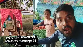 ek Anu ka shaadi dekhne Ko Mila /pipal ke ped ke sath bat ped ka shaadi @Kartikbeheravlogs108