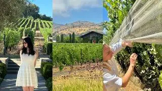 a weekend in napa valley