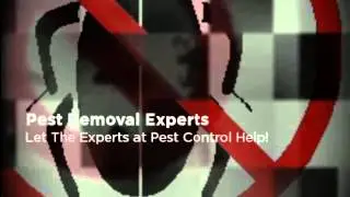 Pest Control Pleasant Hill CA - (888) 458-0008