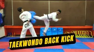Taekwondo Back Kick || Dwit Chagi || Tutorial In Hindi