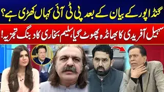 Ali Amin Gandapur Exposed CM KP Sohail Afridi Narrative – Saleem Bukhari’s Bold Analysis - 24 News