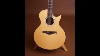 Beauregard African Blackwood Guitar at Guitar Gallery