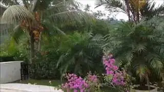 CostaRica 2015 YT