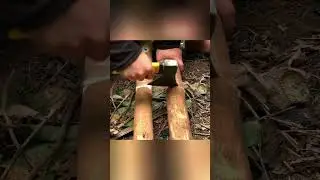 Amazed by the wooden house combined with the tree trunk. part 1  #building #survival #bushcraft