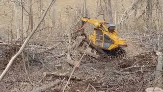 bell cutting & topping hardwood #2