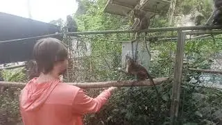 20260108 152856 Monkey Sanctuary Cliffs and Bridge