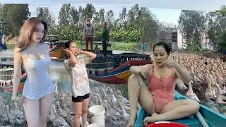 Full: Video compilation of ship moving ducks to new land