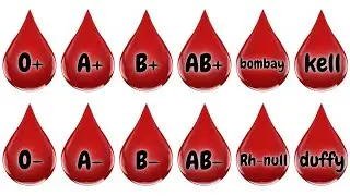 Your Blood type Explains more than You think!