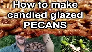How to make candied glazed PECANS from Homegrown Nuts