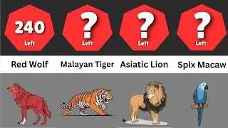 Data Comparison | Most Endangered Species
