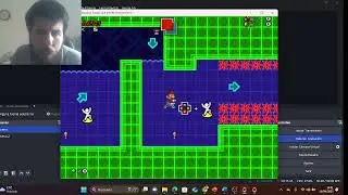 MUSHAROOM KINGDOM FUSION PARTE 1