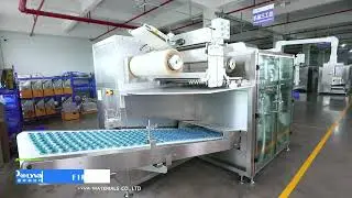 Polyva New Laundry pva Detergent Pods/laundry detergent powder packing machine