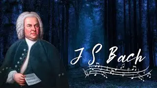 BACH - Goldberg Variations, BWV 988 - 31 - Variatio 30 a 1 Clav. Quodlibet, Musique classique