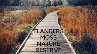 Flanders Moss National Nature Reserve | Stirling | Scotland