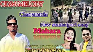 OD 24 MELODY CHARAMULA NEW SAMBALPURI MHARA OD24 MELODY CONTACT 9348294366