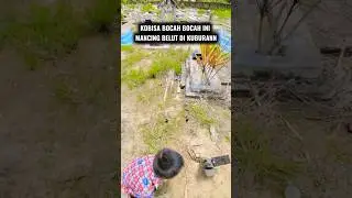 Moment Para Bocah Mancing Belut Dikuburann , Dapet Banyak Pula #shorts #shortvideo #trendingshorts