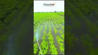 KisaanStar - Product Combo