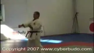 Kata Sanchin, Sam Chiem y Shan Zhan.