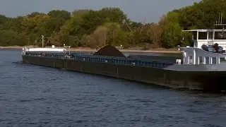 Rhenus Pater l&auml;uft trocken: Niedrigwasser auf dem Rhein schadet der Binnenschifffahrt