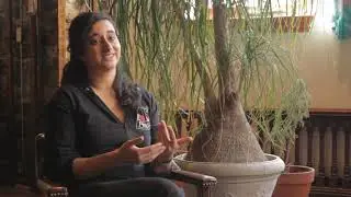 Kate Khatib Explains Consensus Decision Making | Anarchism: A Documentary