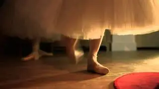 Repetto Into Video