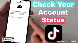 Как проверить статус своего аккаунта TikTok