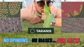 Crop Scouting Using Taranis...Part One!