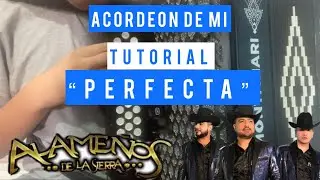 Perfecta- Los Alameños De La Sierra Tutorial Acordeón de Mi