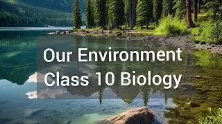 Our Environment | Class 10 Science