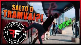 NEJLEP&Scaron;&Iacute; PARKOUR TR&Eacute;NINK?! | FREEMOVE