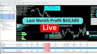 Live Forex | Most Accurate Automated Forex Trading Performance 1601$ Profit Today #trading