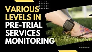 Various levels in pre-trial services monitoring